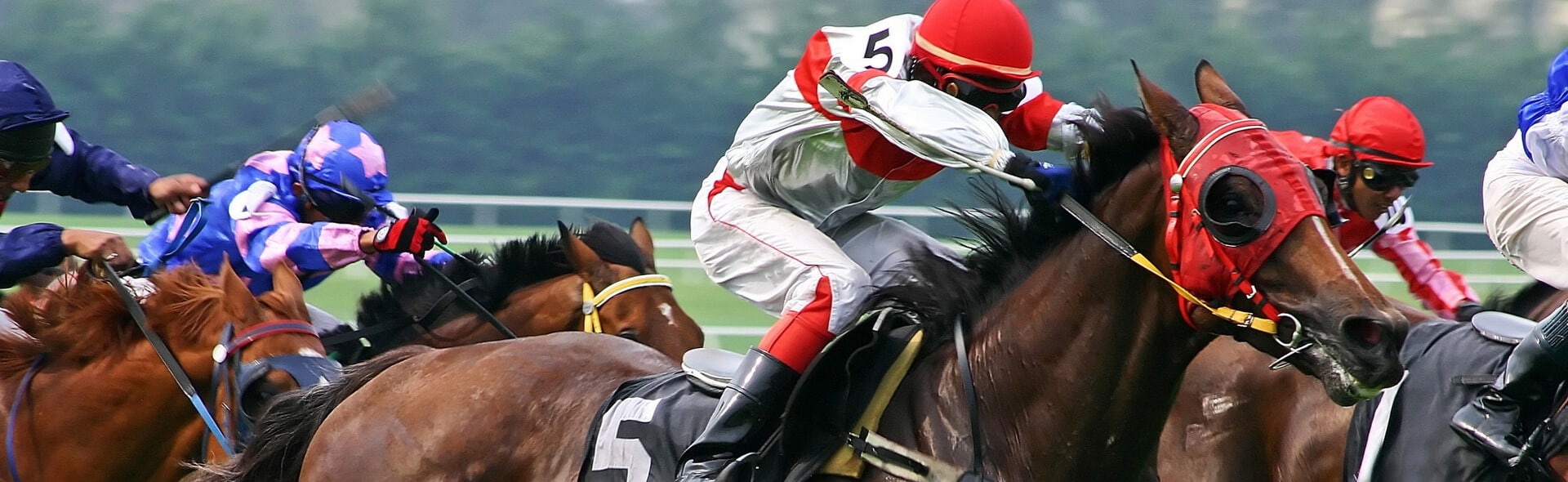 El impacto y el futuro de las carreras de caballos históricas 